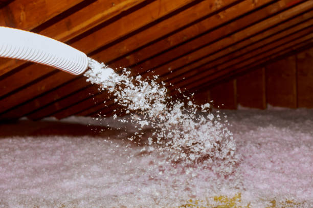 Best Insulation Maintenance and Repair in USA